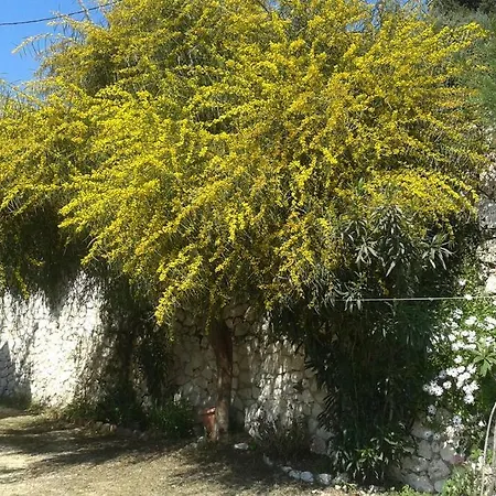 Vardia & * Mikros Gialos